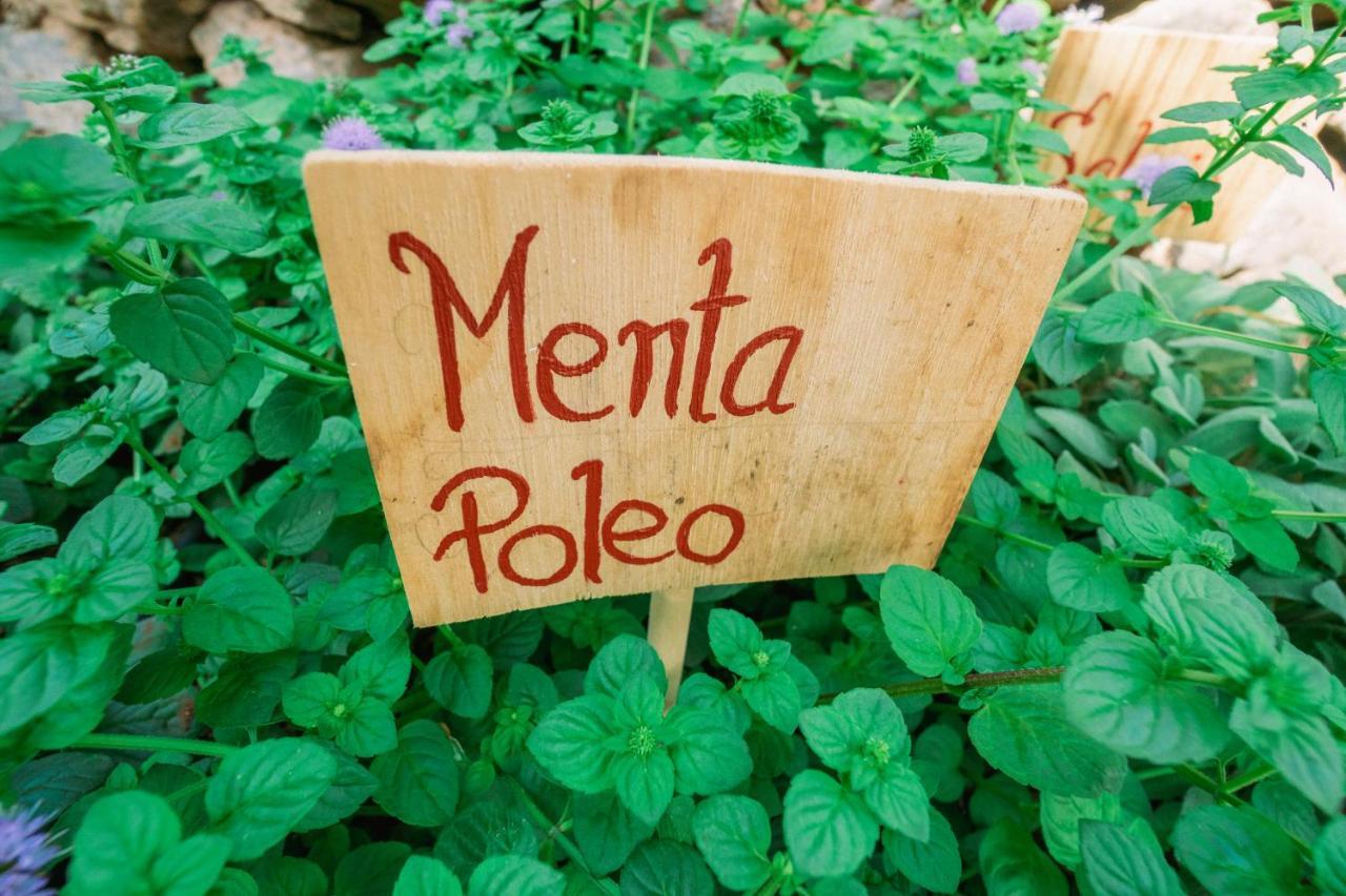 로스실로스 Casa Emblematica Maruca Y Leli 빌라 외부 사진
